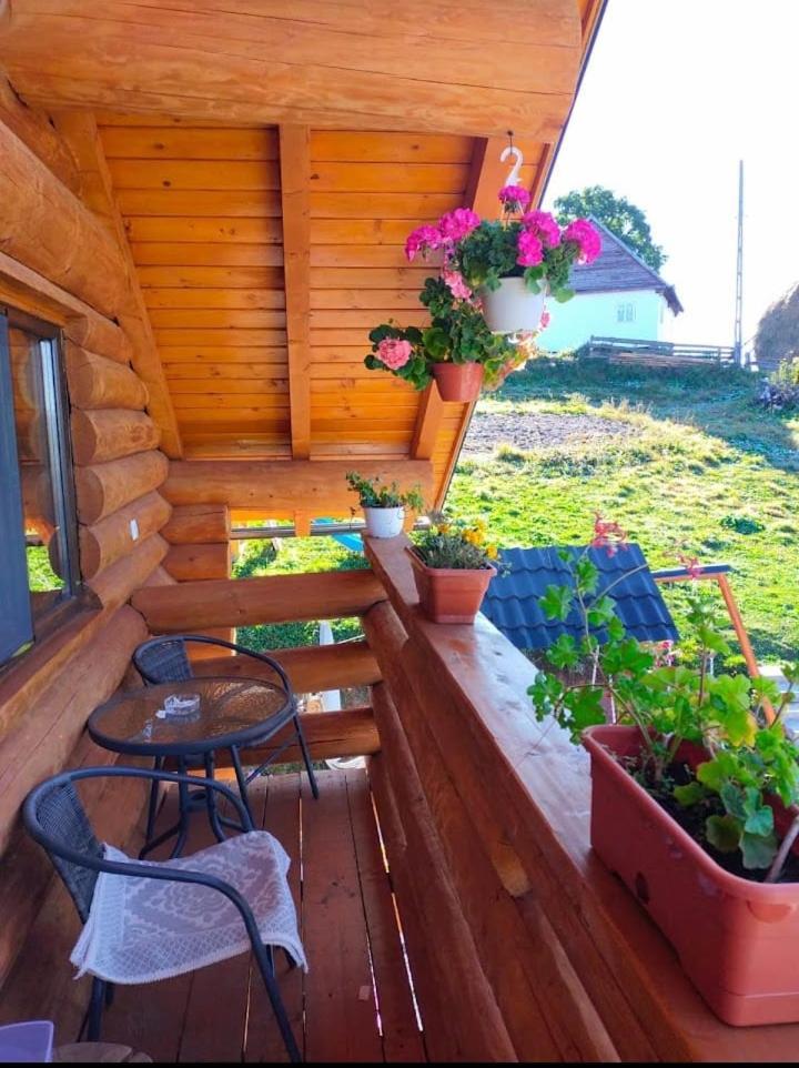 Cabana Colt De Munte Gîrda de Sus Extérieur photo